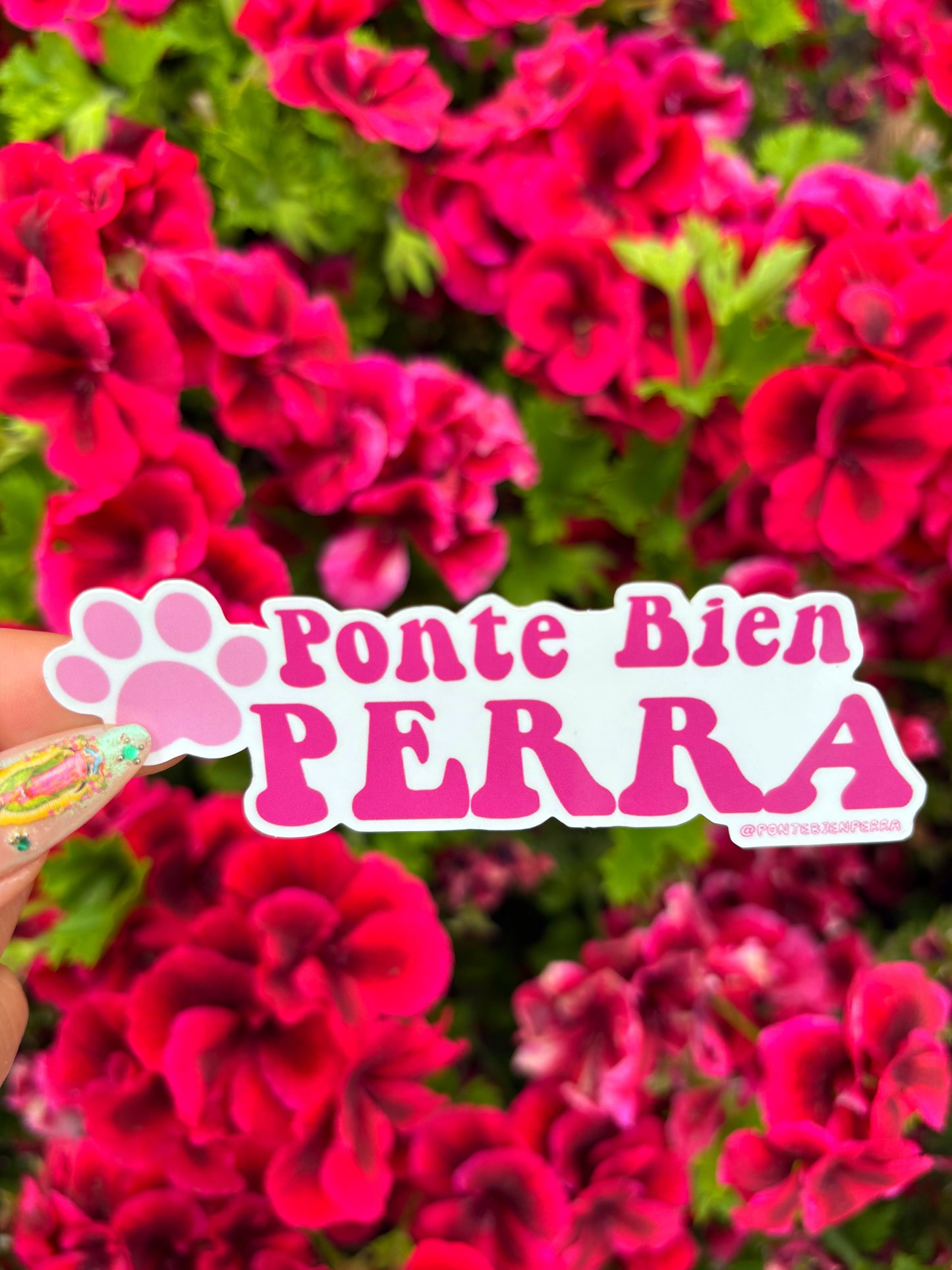 NEW Stickers 2025
